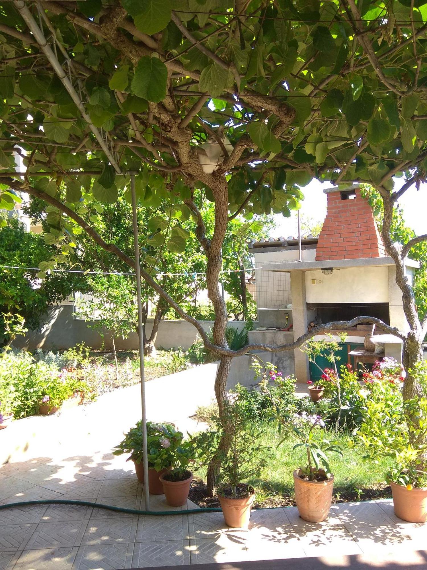 Villa Katarina Losinj Island Mali Lošinj Exterior foto