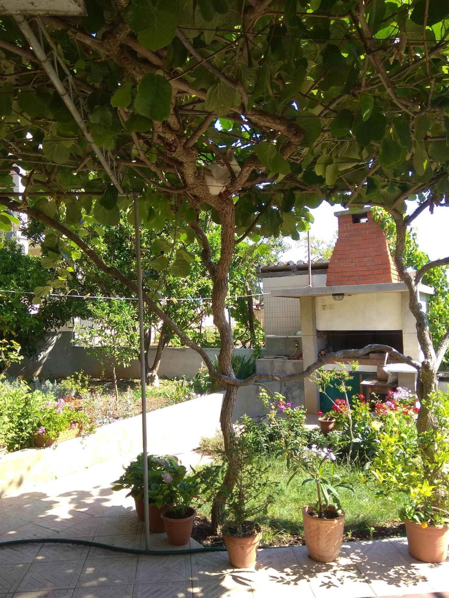Villa Katarina Losinj Island Mali Lošinj Exterior foto