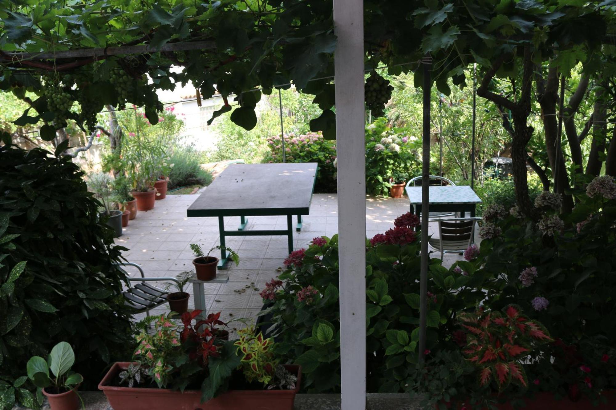 Villa Katarina Losinj Island Mali Lošinj Exterior foto