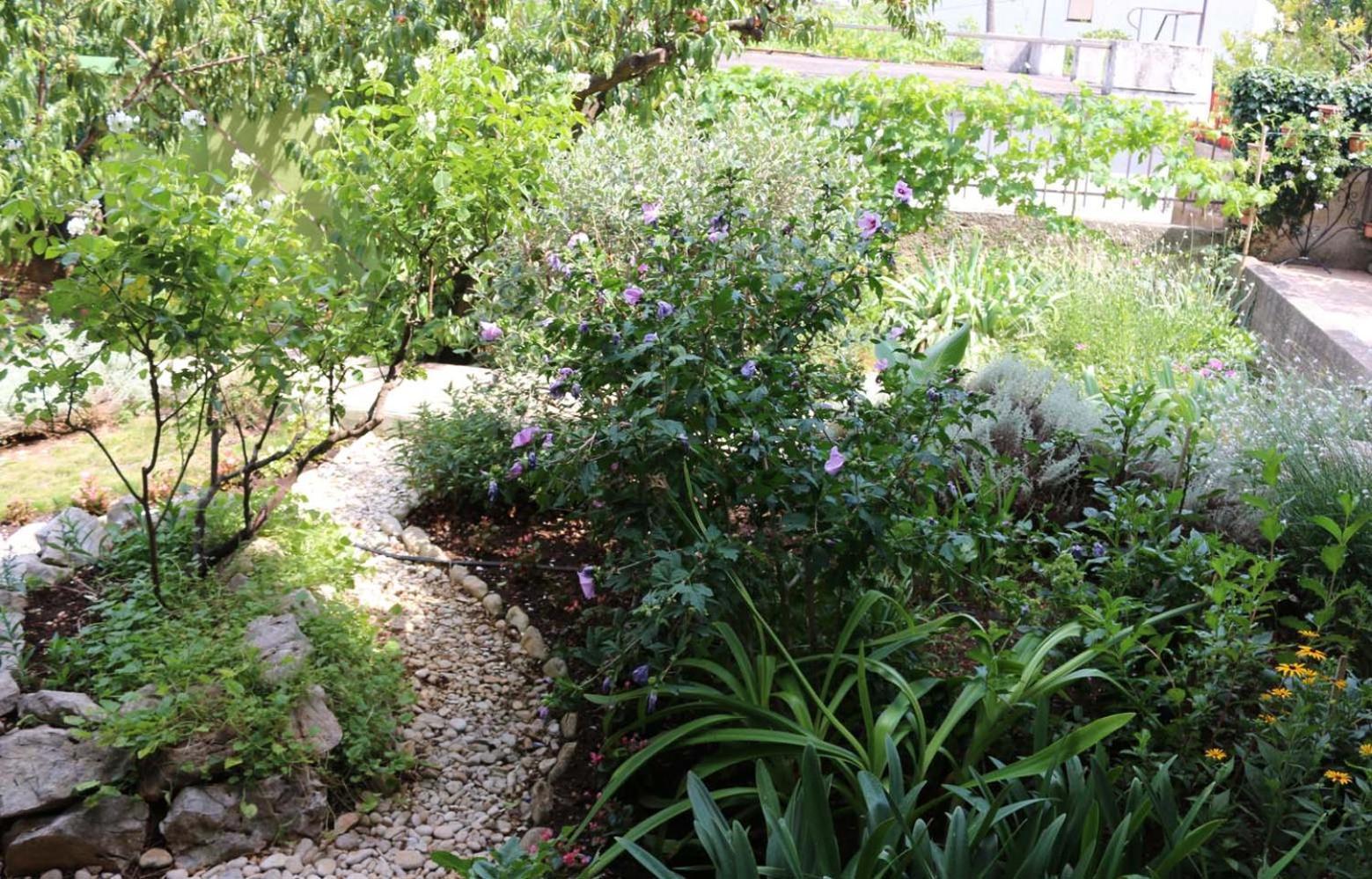 Villa Katarina Losinj Island Mali Lošinj Exterior foto
